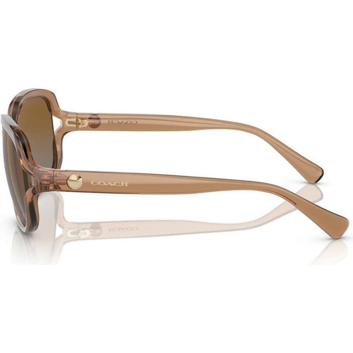 HC8169, Transparent Brown/Brown Grey Gradient Polarised Lenses