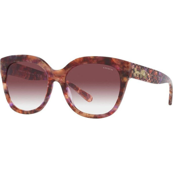HC8264, Petal Tortoise/Purple Clear Gradient Lenses