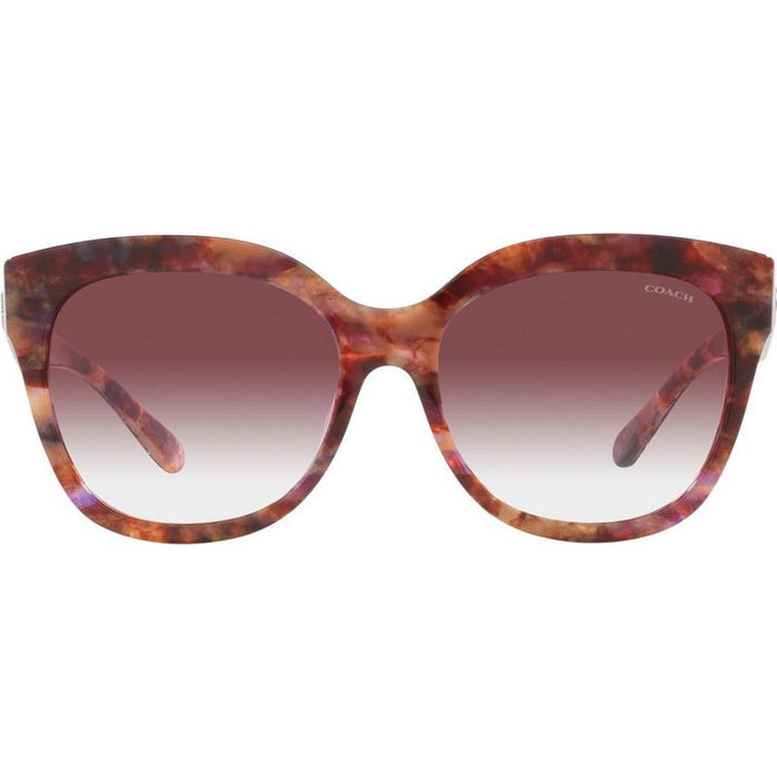 HC8264, Petal Tortoise/Purple Clear Gradient Lenses
