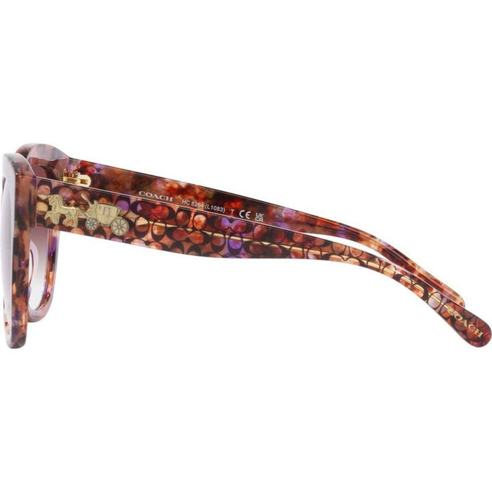 HC8264, Petal Tortoise/Purple Clear Gradient Lenses