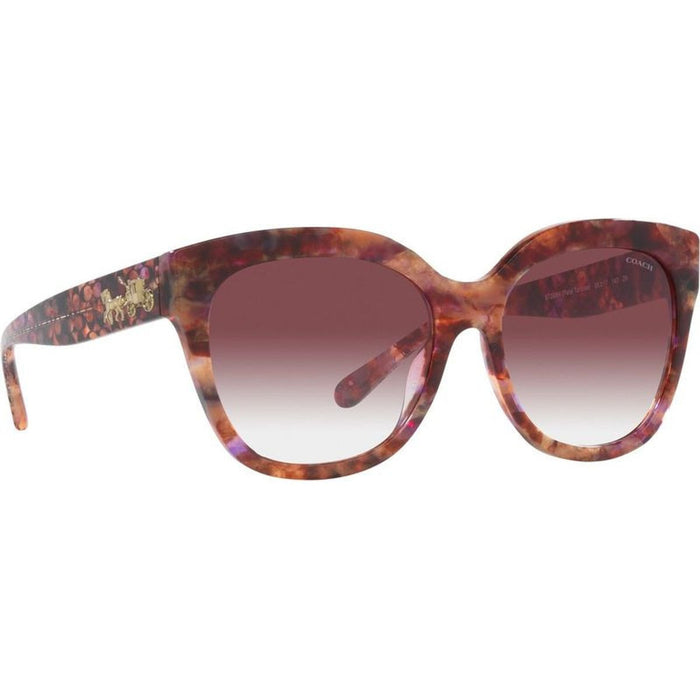 HC8264, Petal Tortoise/Purple Clear Gradient Lenses