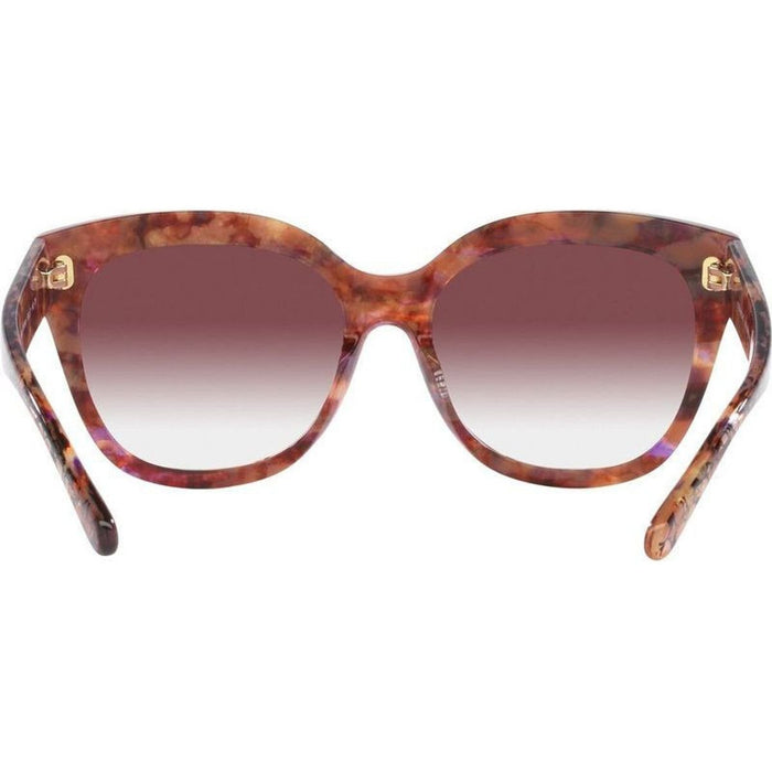 HC8264, Petal Tortoise/Purple Clear Gradient Lenses