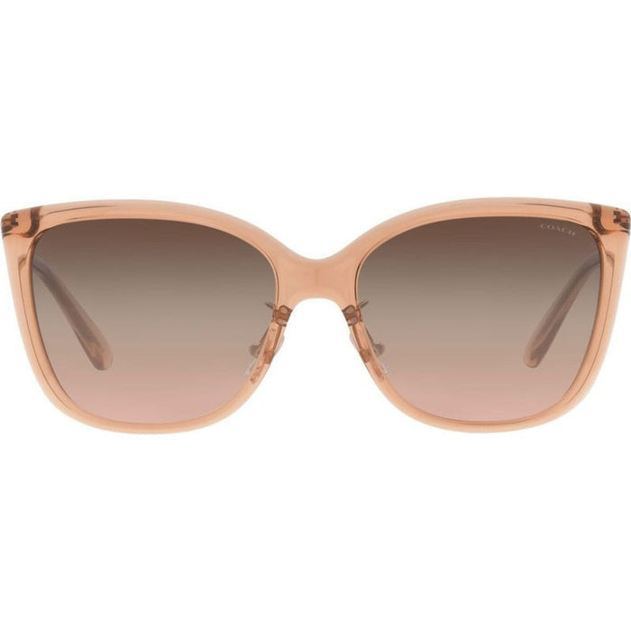 HC8345, Transparent Champagne/Brown Pink Gradient Lenses