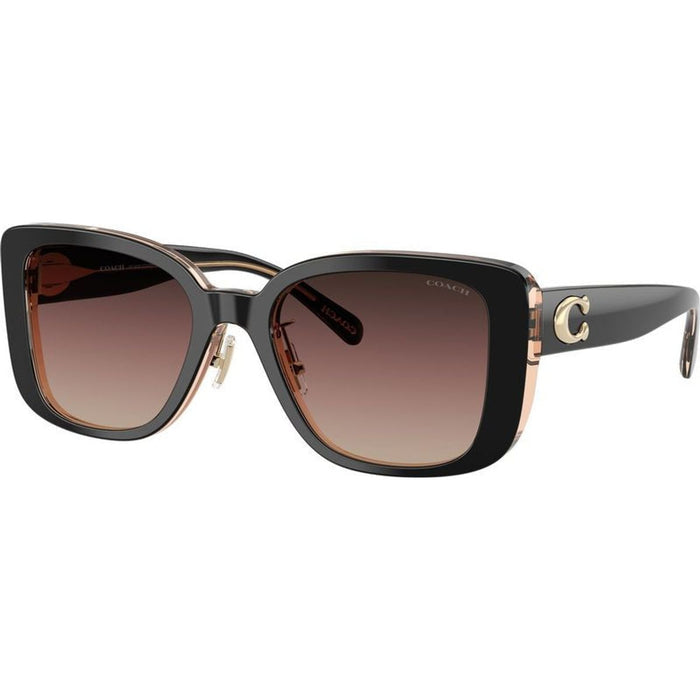 HC8352, Black/Brown Purple Gradient Lenses