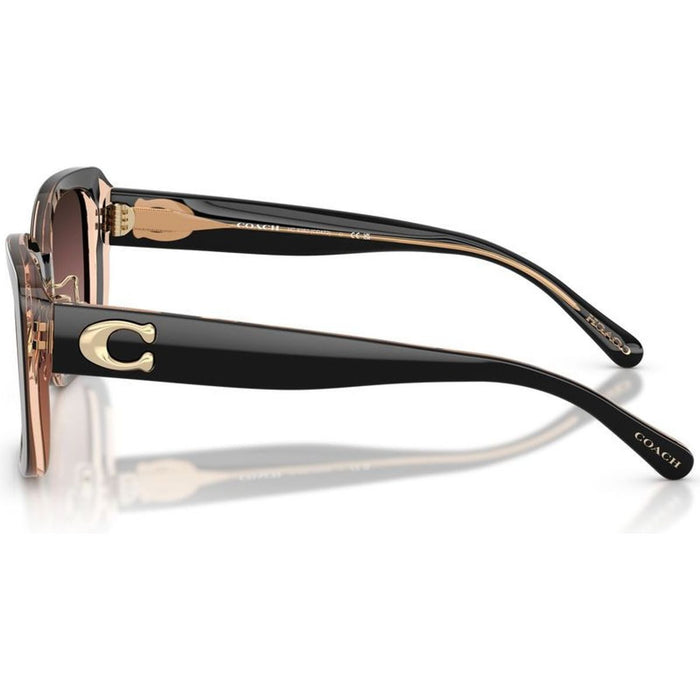 HC8352, Black/Brown Purple Gradient Lenses