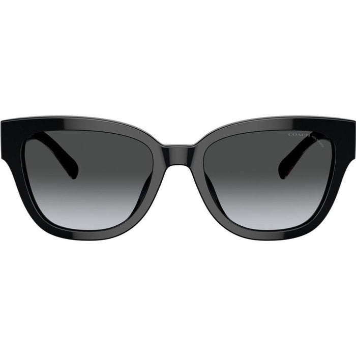 HC8379U, Black/Grey Gradient Polarised Lenses