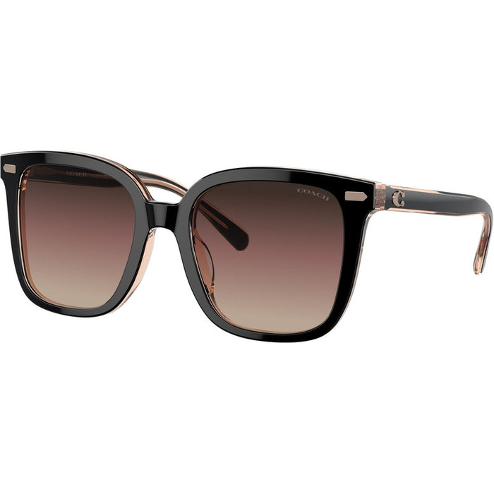 HC8381U, Black/Light Brown and Violet Gradient Lenses