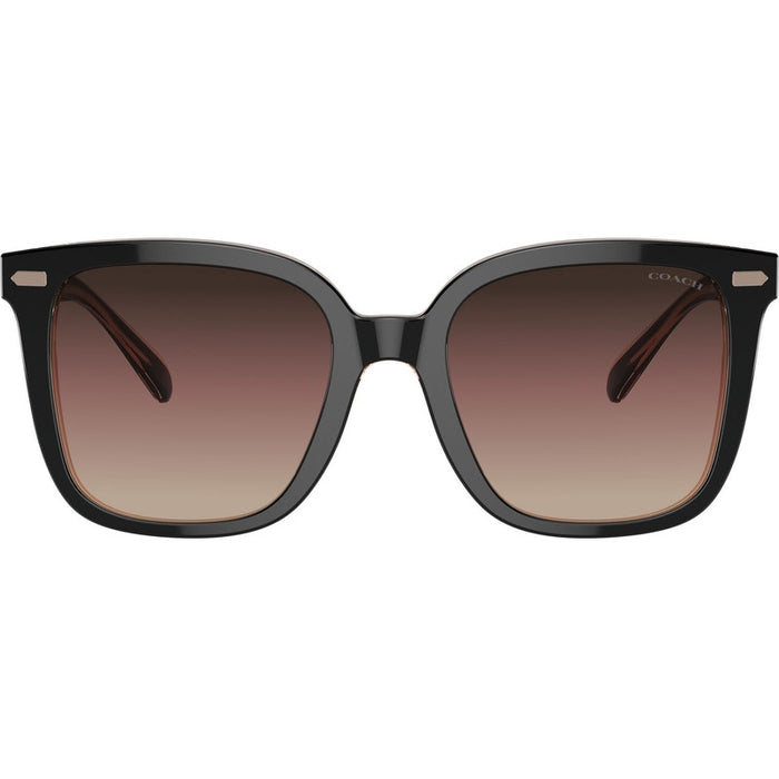 HC8381U, Black/Light Brown and Violet Gradient Lenses