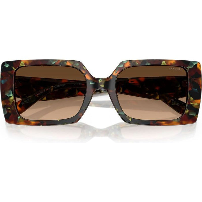 HC8409U, Jade Pearl Tortoise/Brown Gradient Lenses