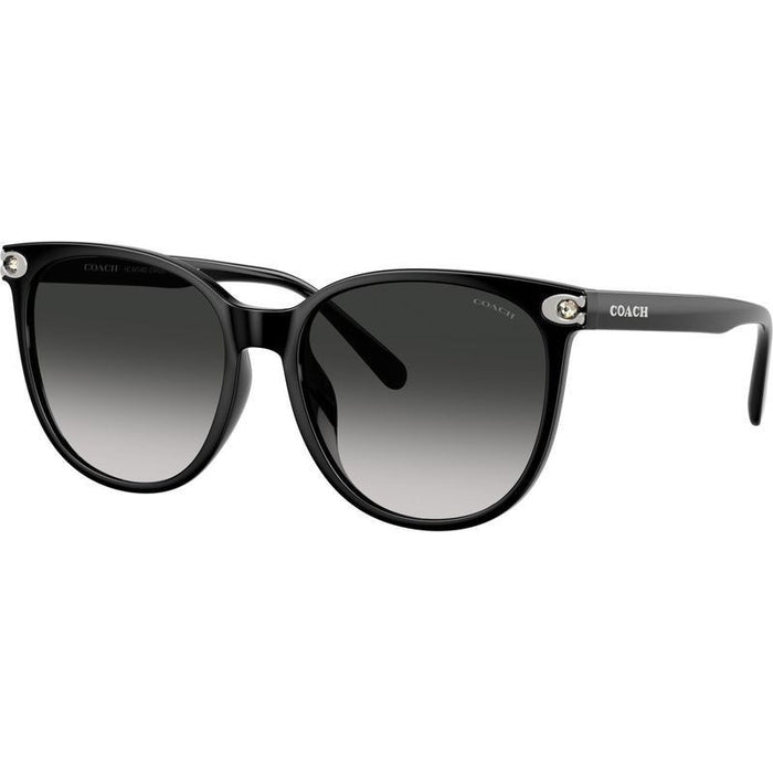 HC8414BD, Black/Grey Gradient Lenses