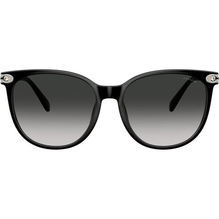 HC8414BD, Black/Grey Gradient Lenses