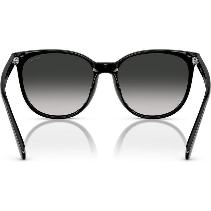 HC8414BD, Black/Grey Gradient Lenses