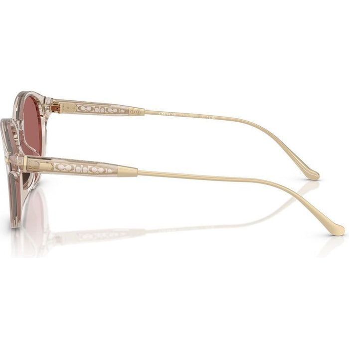 HC8428U, Transparent Sand/Wine Lenses