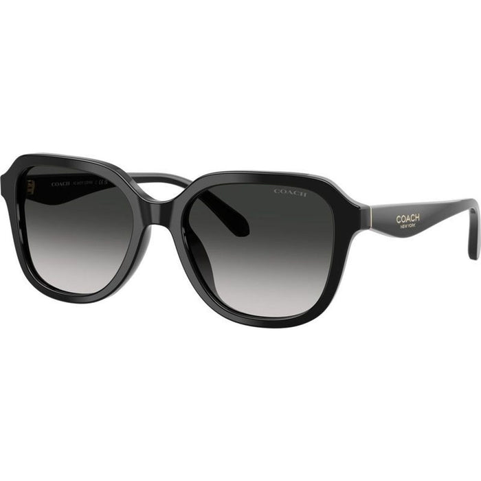 HC8437F, Black/Grey Gradient Lenses
