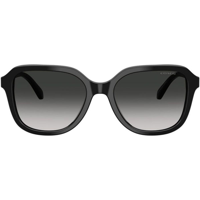HC8437F, Black/Grey Gradient Lenses