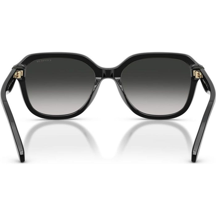 HC8437F, Black/Grey Gradient Lenses