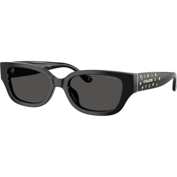 HC8439U, Black/Grey Lenses