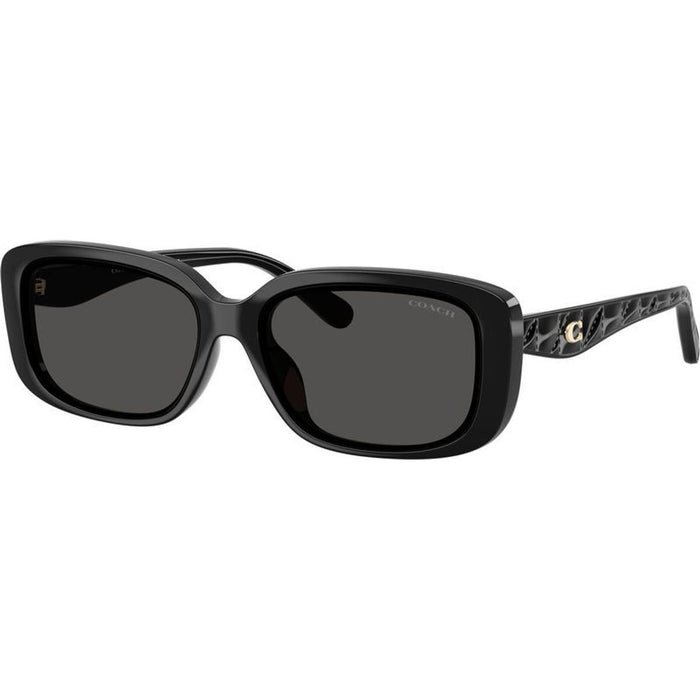 HC8444D, Black/Grey Lenses