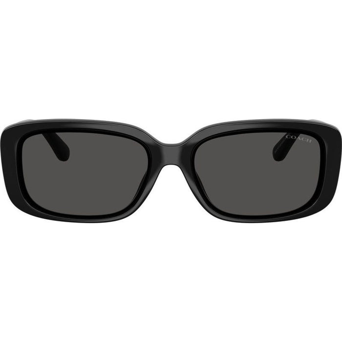 HC8444D, Black/Grey Lenses