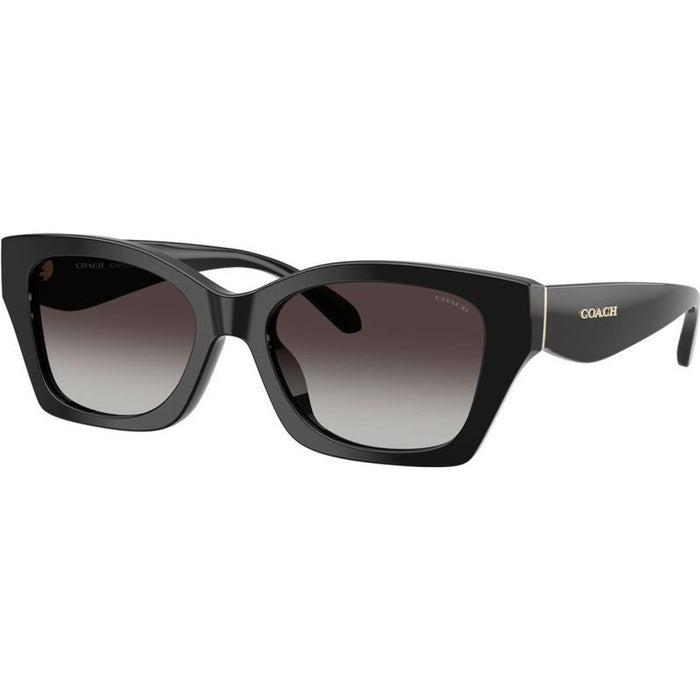 HC8451U, Black/Grey Gradient Lenses