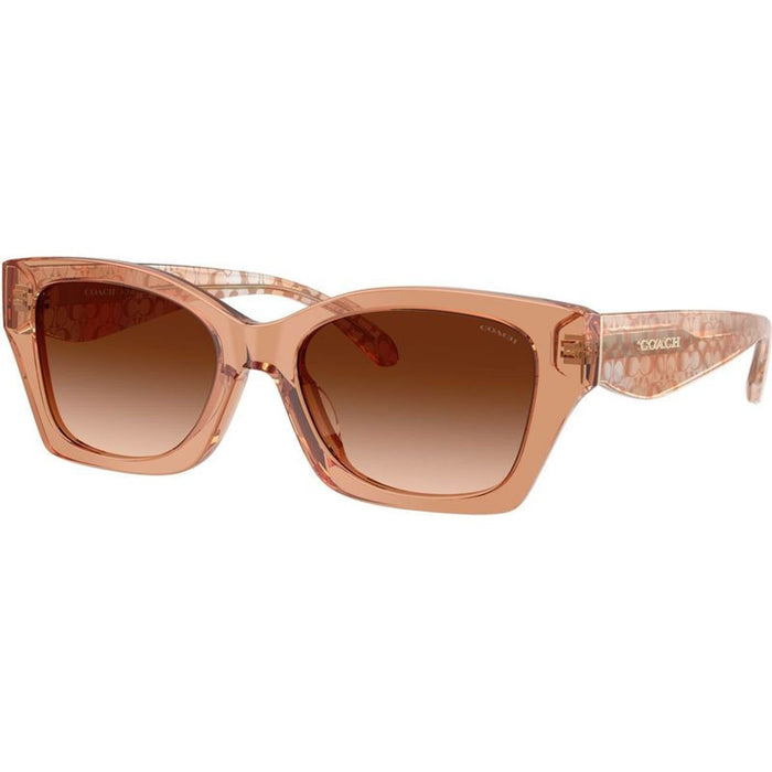 HC8451U, Transparent Brown/Brown Gradient Lenses