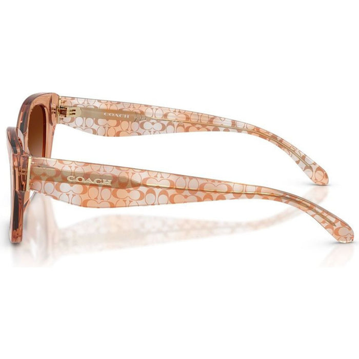 HC8451U, Transparent Brown/Brown Gradient Lenses
