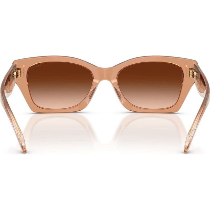 HC8451U, Transparent Brown/Brown Gradient Lenses