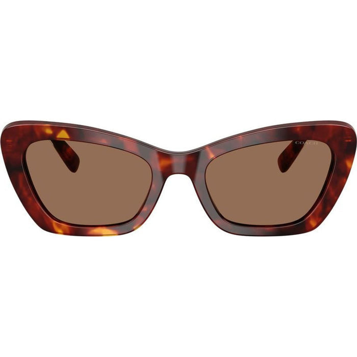HC8452U, Walnut Tortoise/Brown Lenses