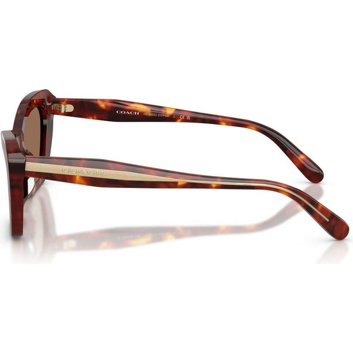 HC8452U, Walnut Tortoise/Brown Lenses