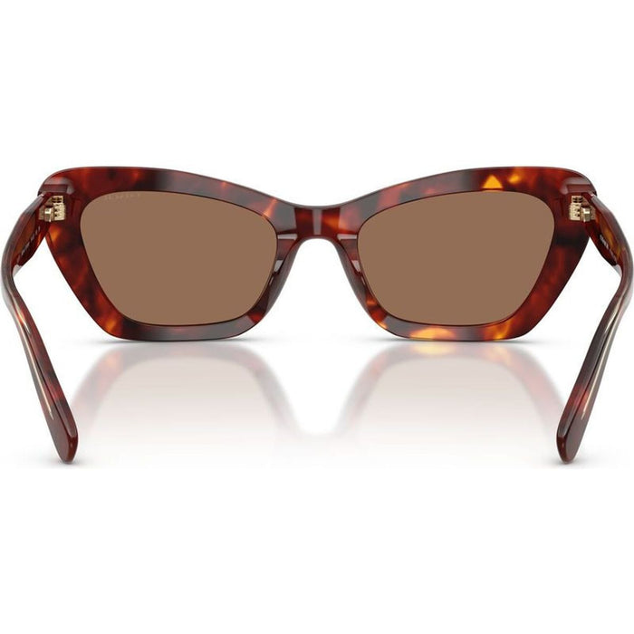 HC8452U, Walnut Tortoise/Brown Lenses