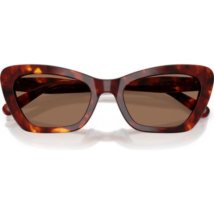 HC8452U, Walnut Tortoise/Brown Lenses