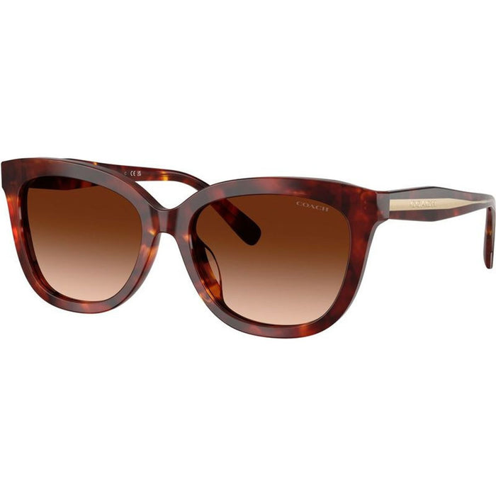 HC8453U, Walnut Tortoise/Brown Gradient Lenses