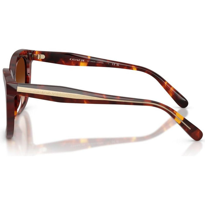HC8453U, Walnut Tortoise/Brown Gradient Lenses
