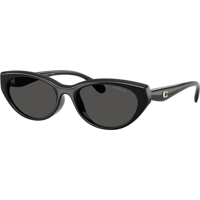 HC8456D, Black/Grey Lenses