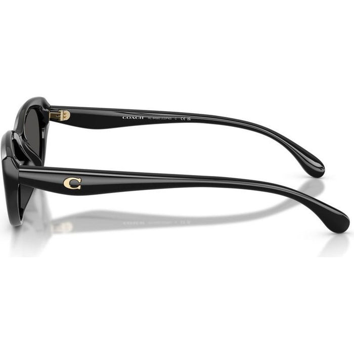 HC8456D, Black/Grey Lenses