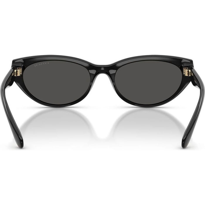 HC8456D, Black/Grey Lenses