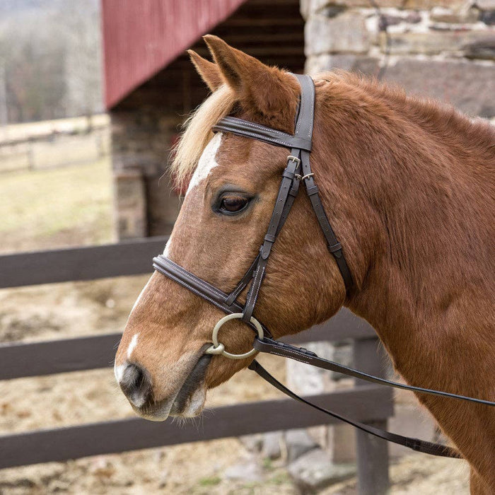 Henri de Rivel Pro Mono Crown Padded Bridle: Black / Oversize