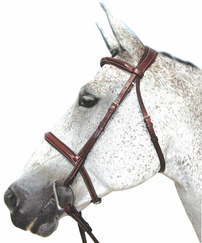 Henri de Rivel Pro Mono Crown Padded Bridle: Black / Oversize