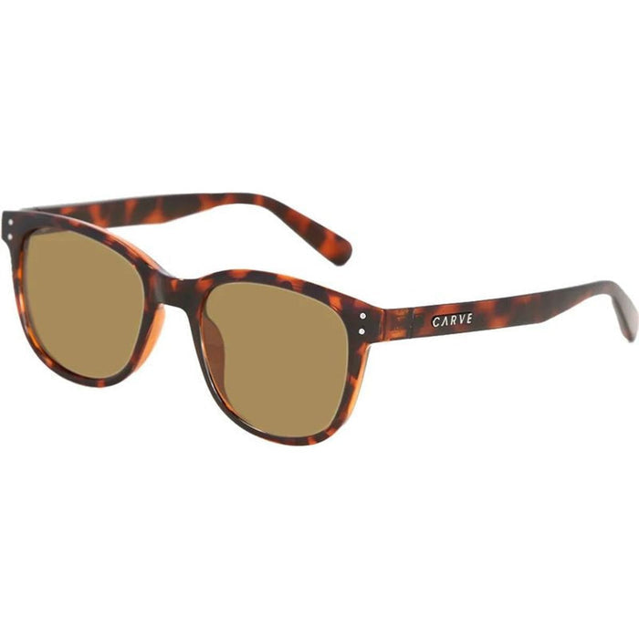 Homeland, Gloss Tort/Brown Polarised Lenses