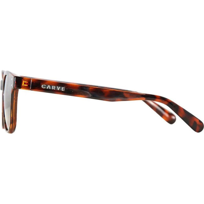 Homeland, Gloss Tort/Brown Polarised Lenses