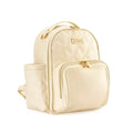 Itzy Mini Plus Diaper Bag