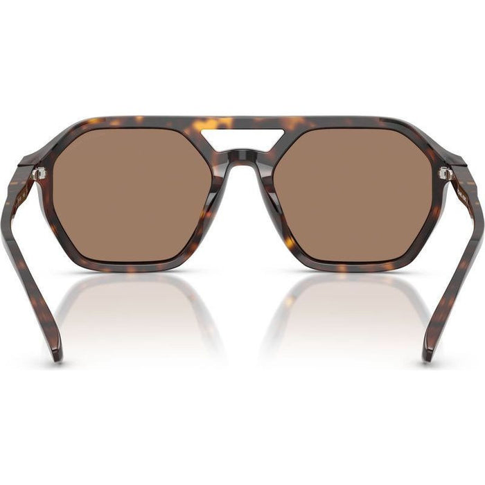Jackson Hole MK2251U, Dark Tortoise/Brown Lenses