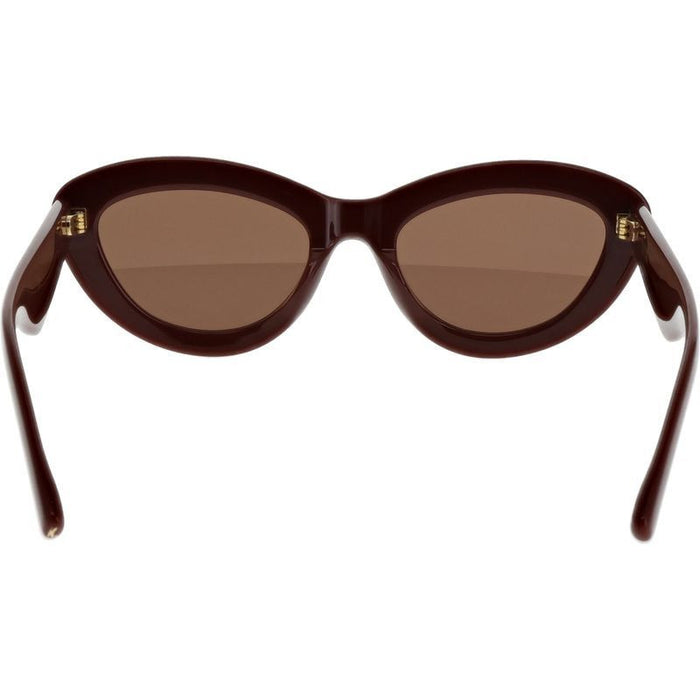 Jay, Brown/Brown Lenses