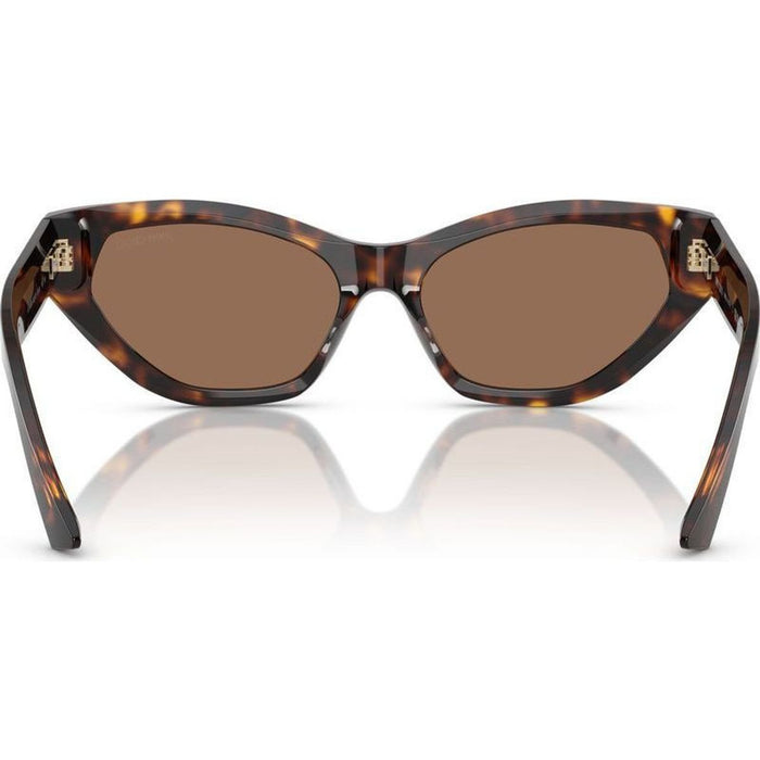JC5022B, Havana/Dark Brown Lenses