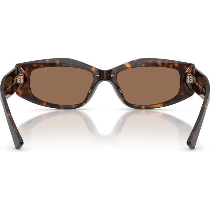 JC5046BU, Havana/Dark Brown Lenses