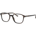 Leonard RX5393, Havana/Clear Lenses 51 Eye Size