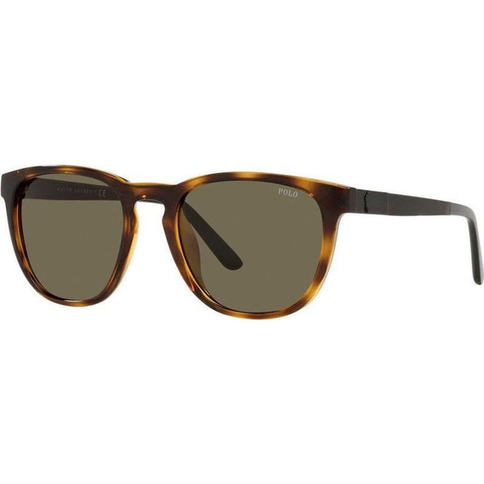 PH4182U, Shiny Havana/Brown Lenses