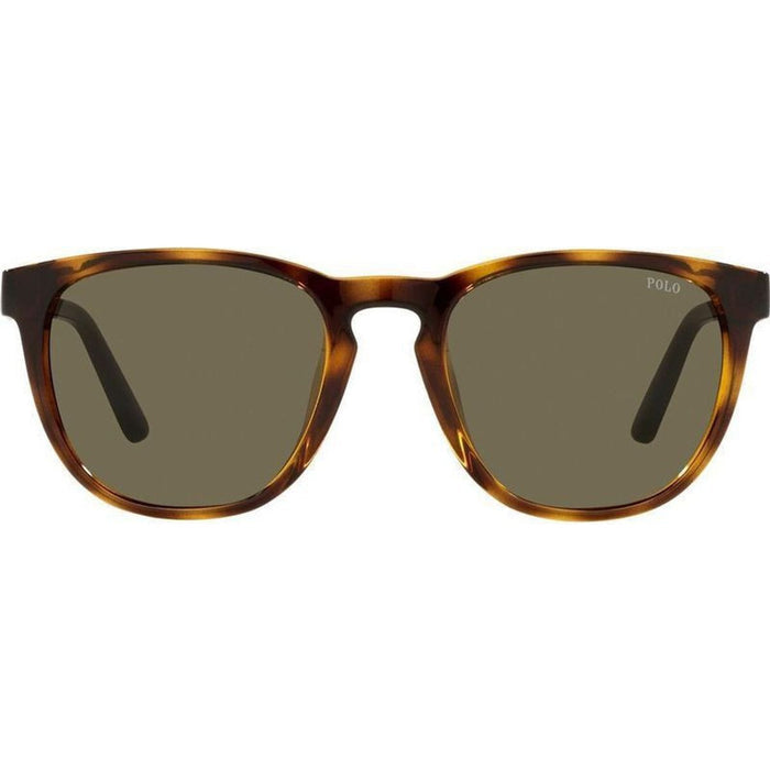 PH4182U, Shiny Havana/Brown Lenses