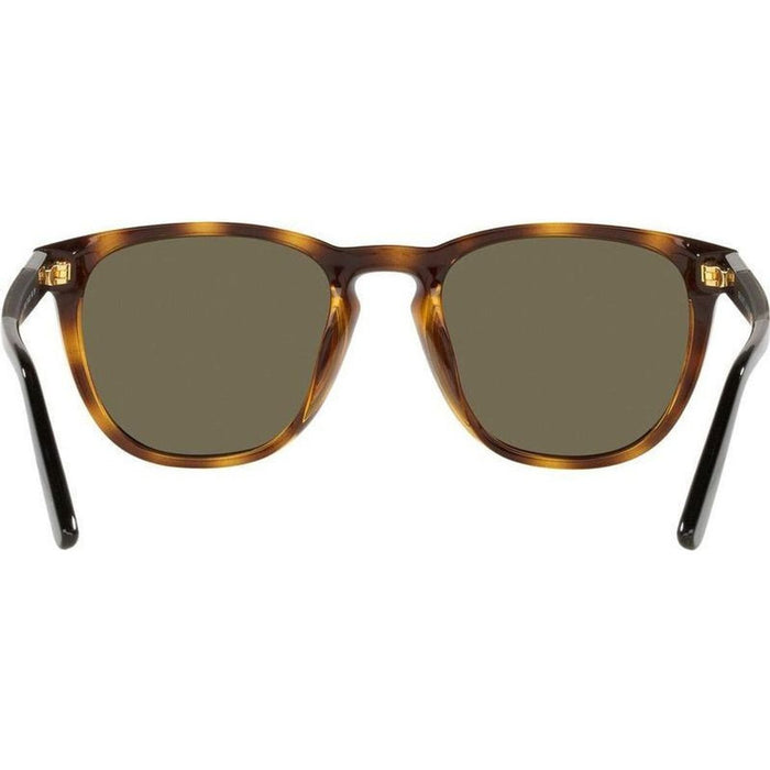 PH4182U, Shiny Havana/Brown Lenses