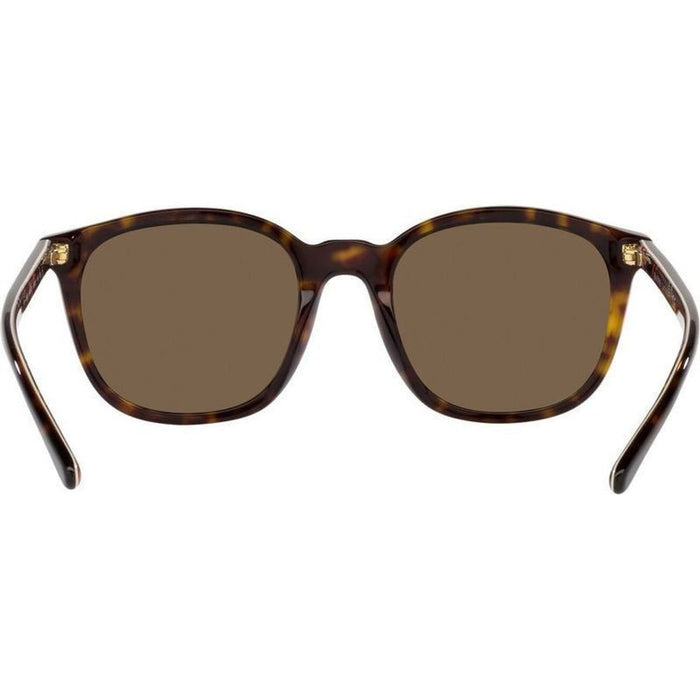 PH4188, Shiny Dark Havana/Brown Lenses